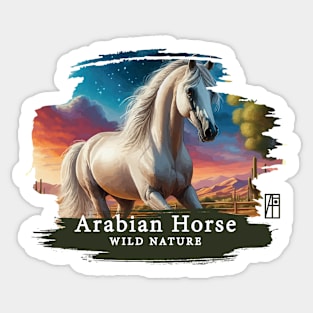 Arabian Horse - WILD NATURE - HORSE -13 Sticker